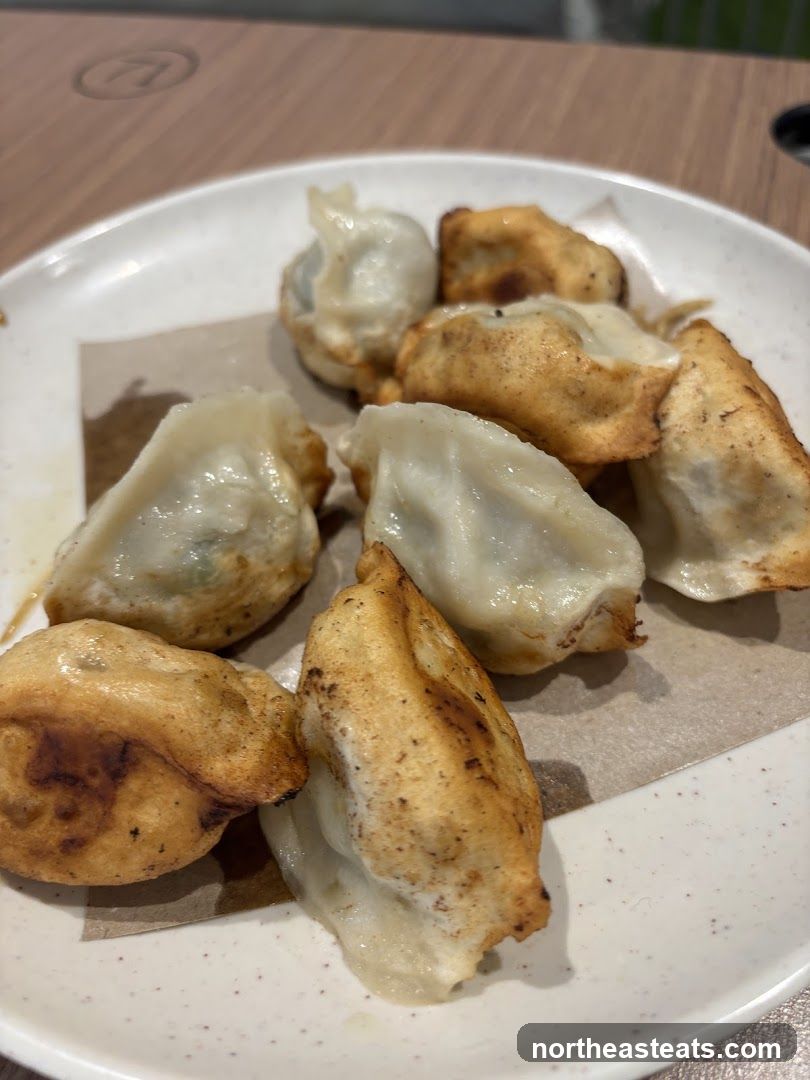 Pan-fried dumplings