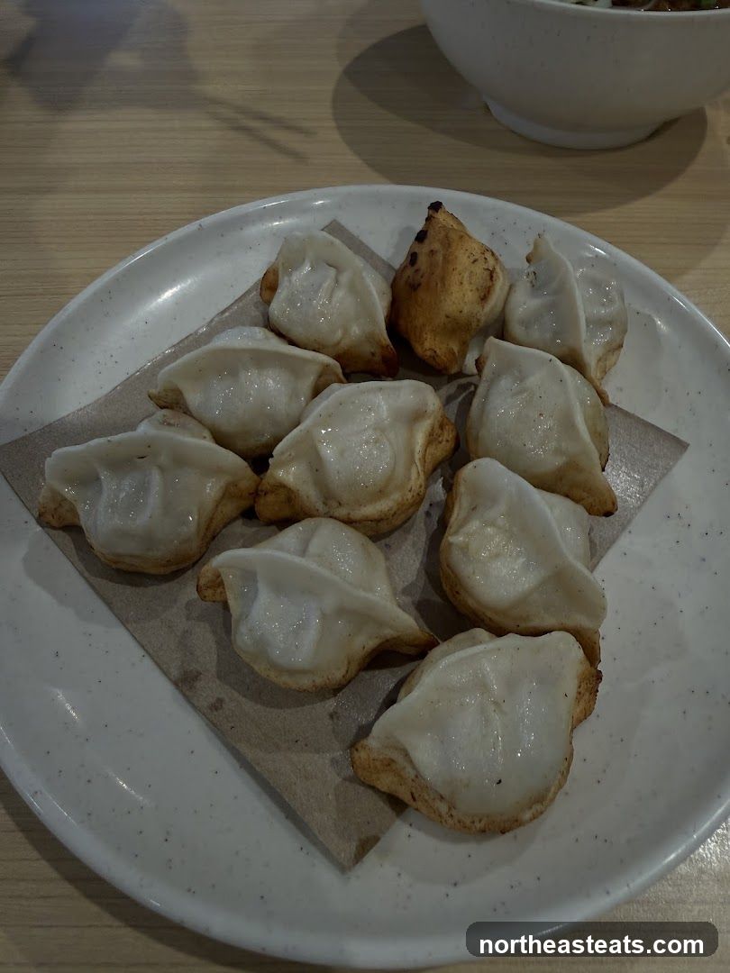 Pan-fried dumplings