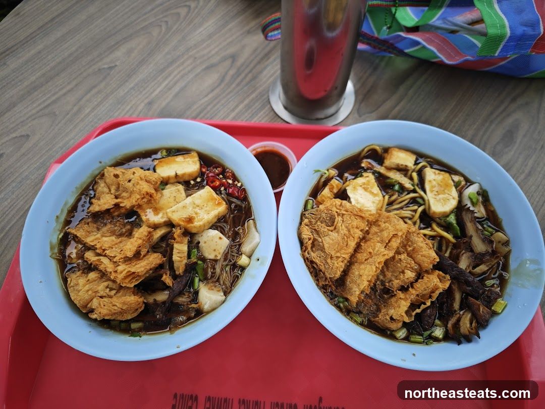 Two bowls of noodles with fried tofu and other toppings