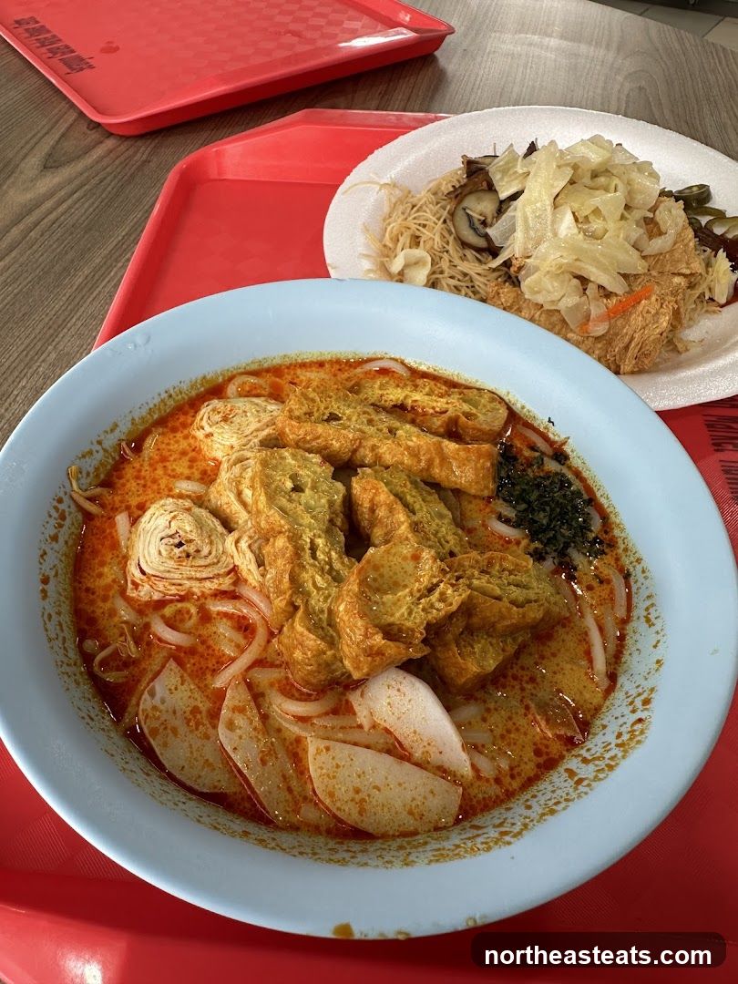 Curry Laksa and Noodles