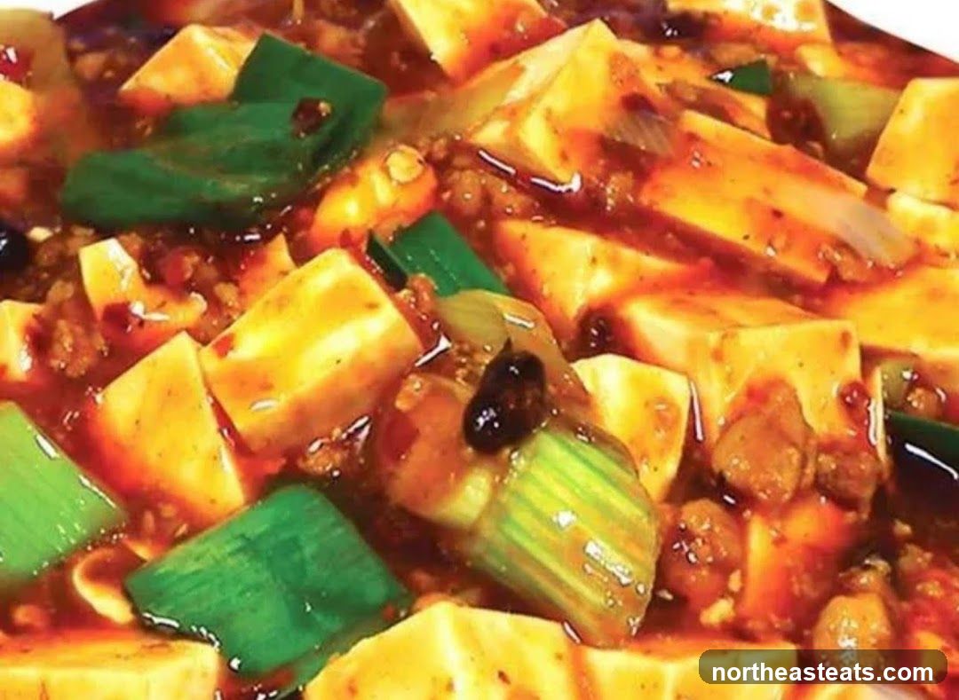 Mapo Tofu