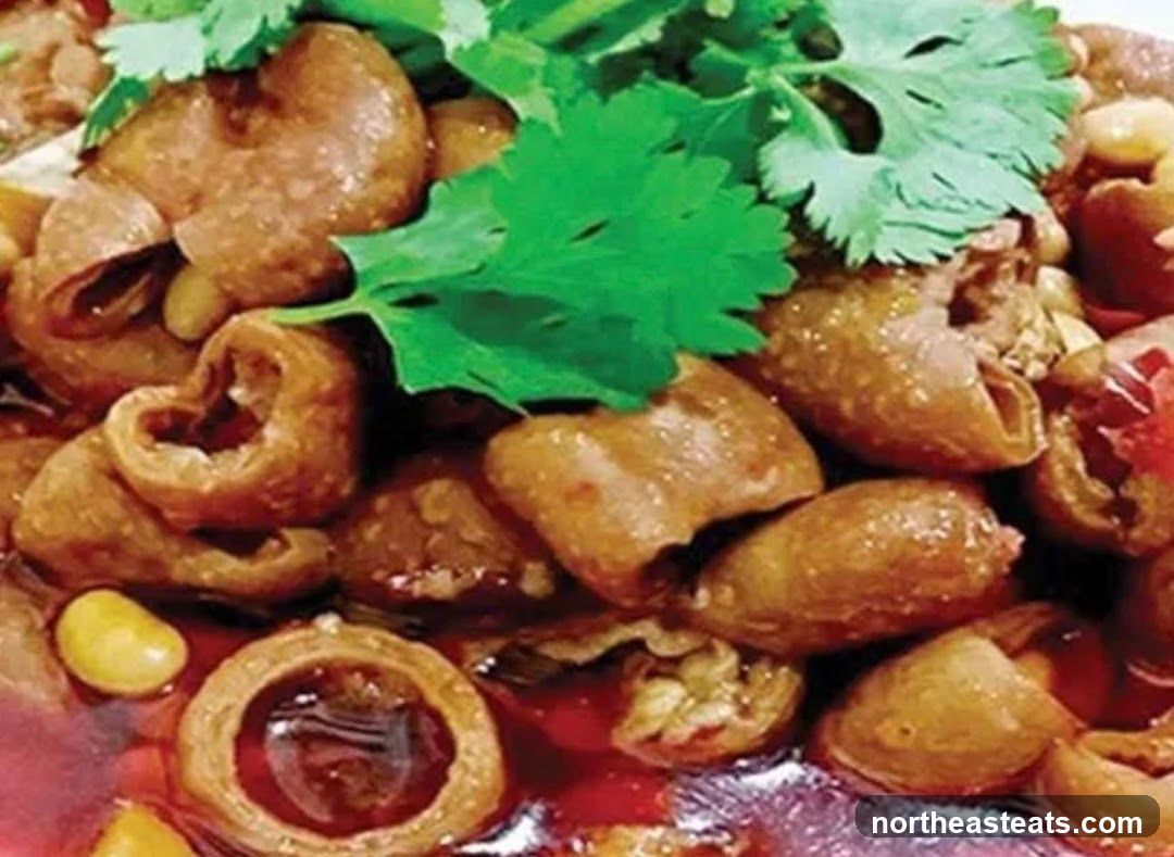 Braised Intestines