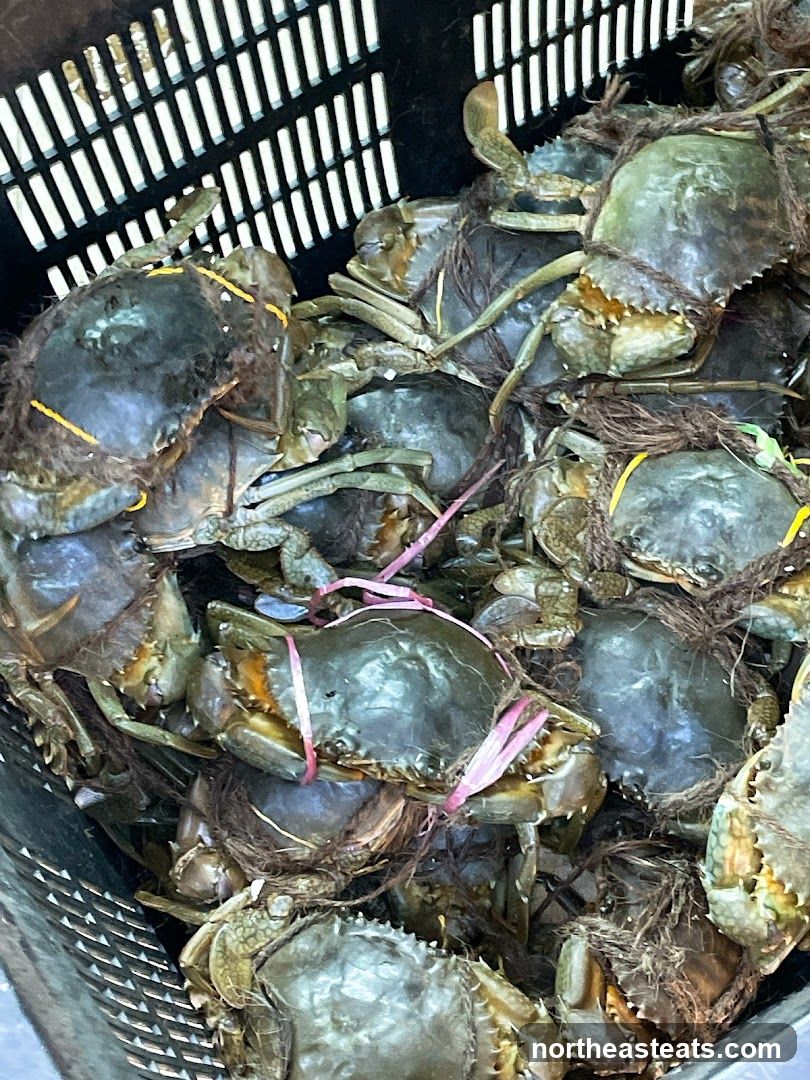 Crabs in a basket