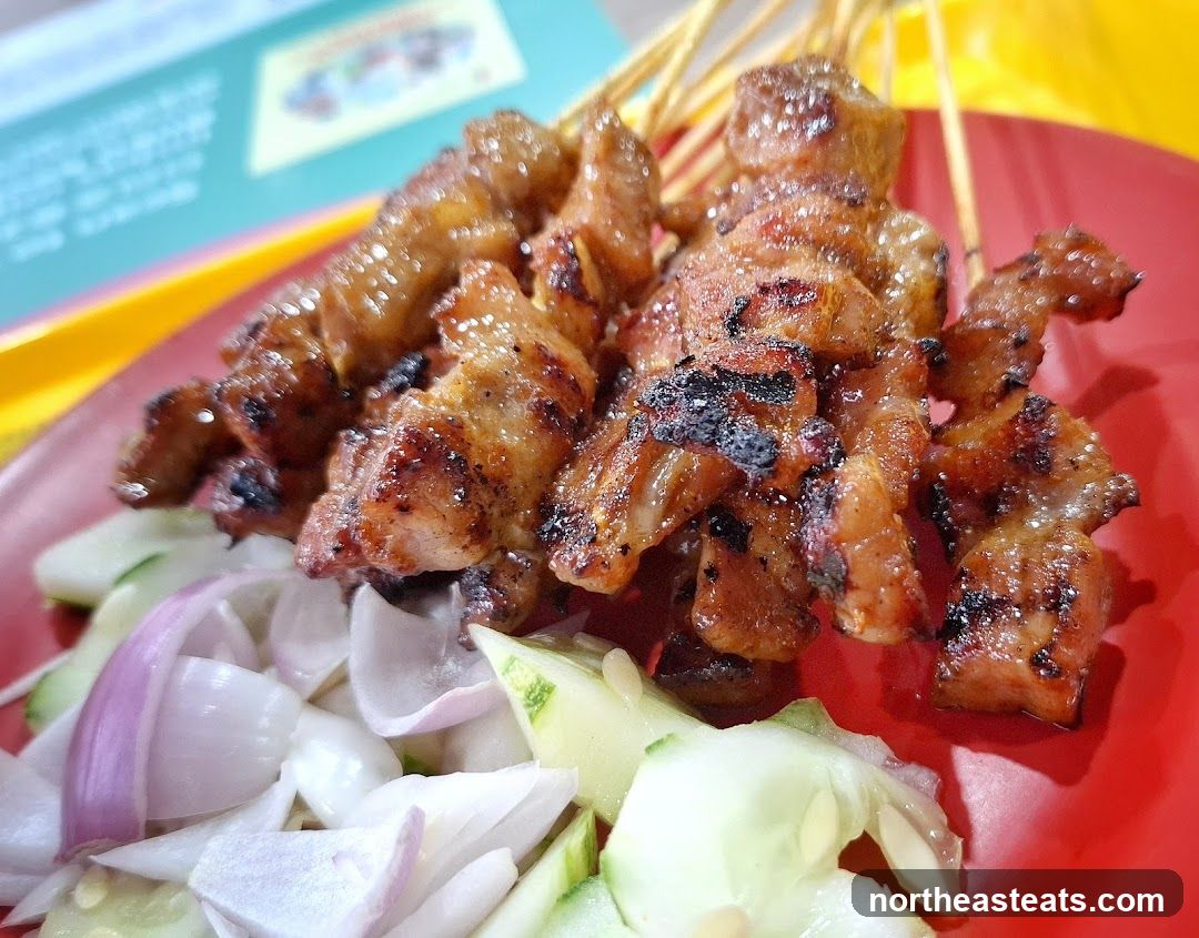 Grilled Satay Skewers with Cucumber and Onion