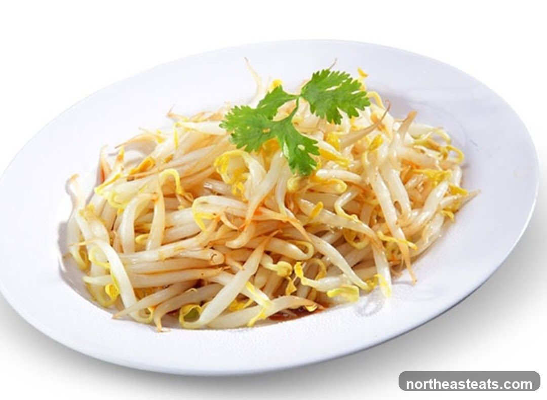 Bean Sprouts Dish