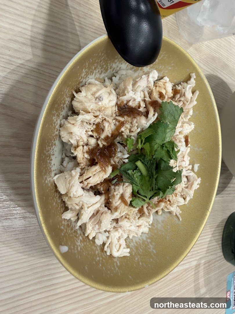 Shredded Chicken with Rice
