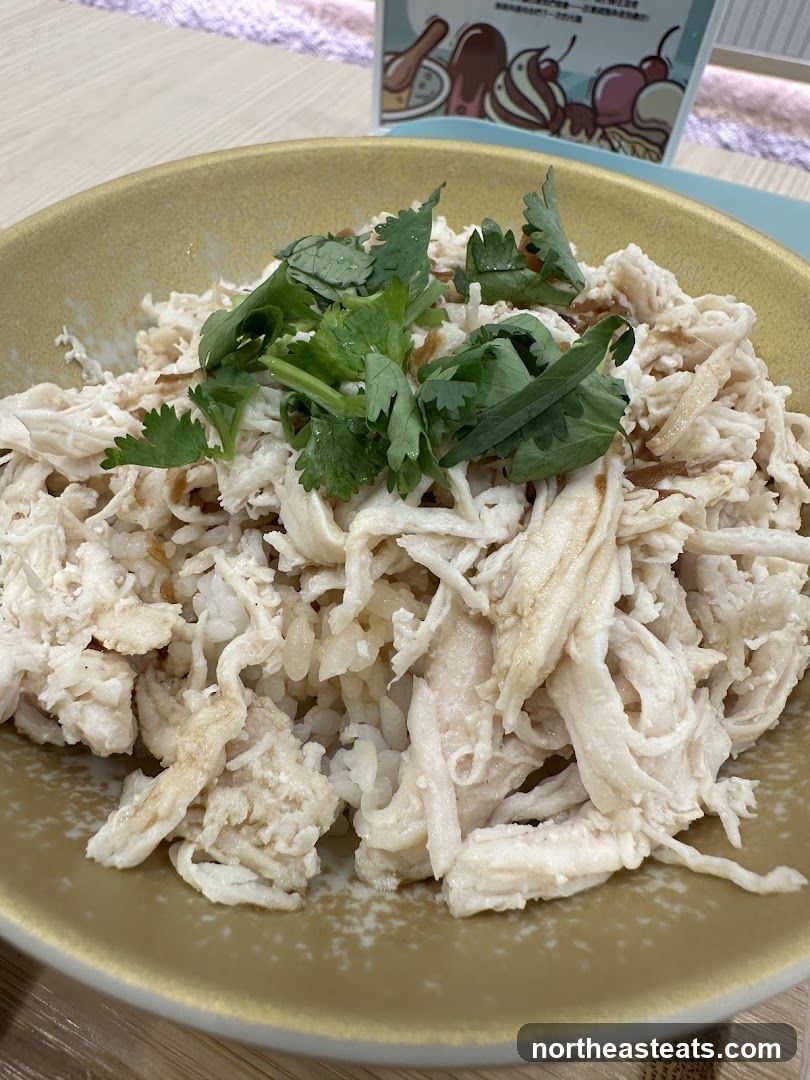 Shredded Chicken with Rice