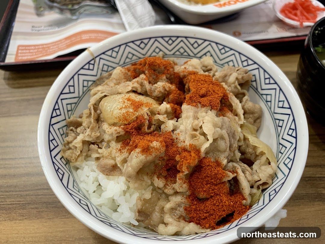 Beef Bowl with Rice
