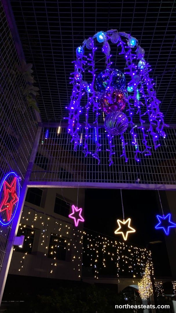 Christmas Lights Display