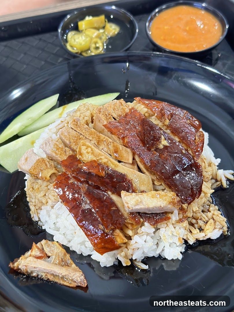 Roast Duck Rice