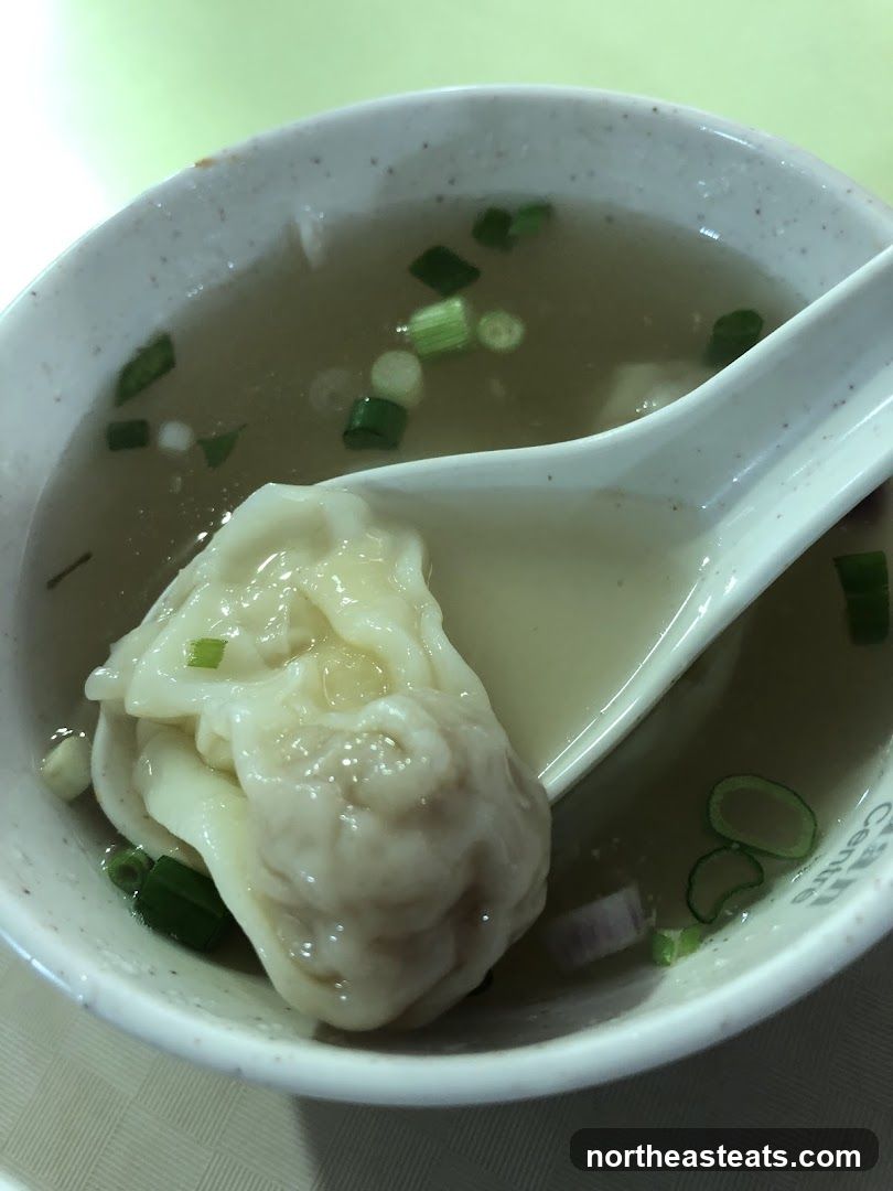 Wonton Soup