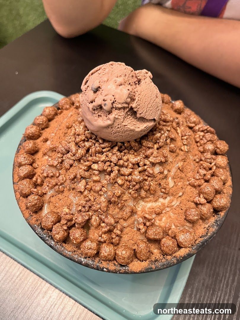 Chocolate Bingsu with Ice Cream