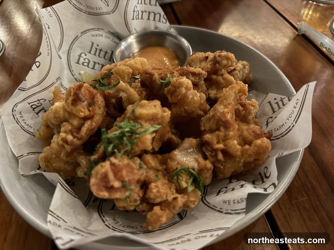 Fried Food with Dip