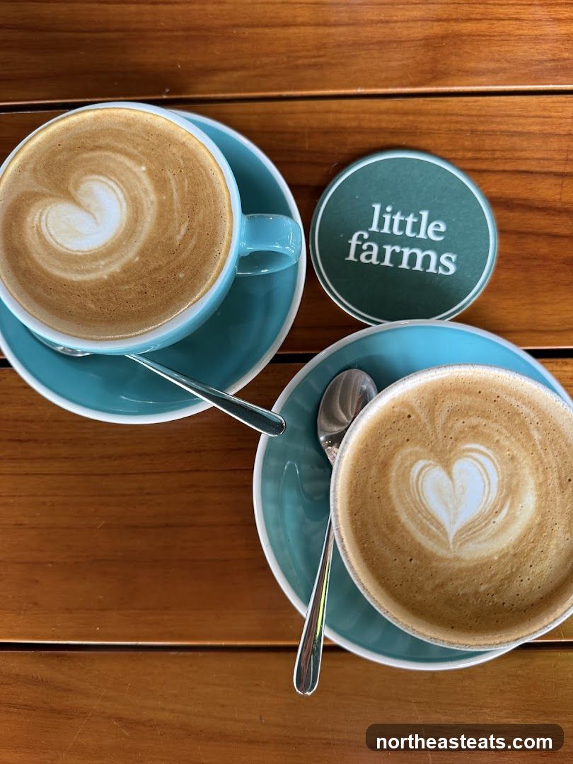 Two coffees with latte art