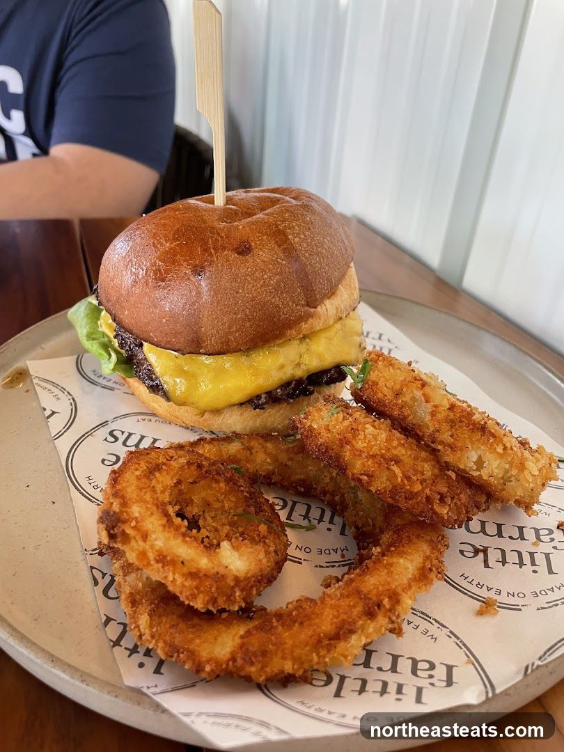 Burger and Onion Rings