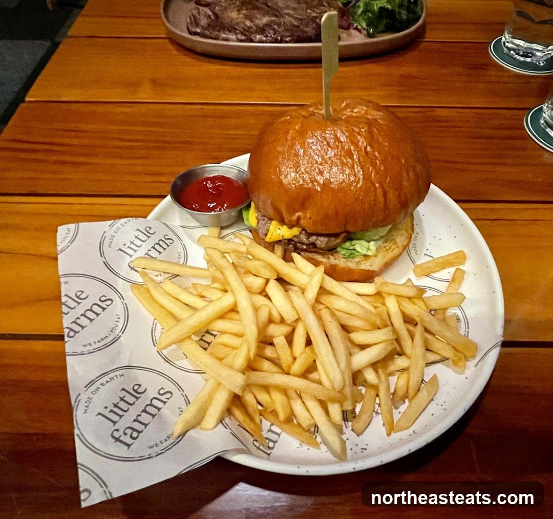 Burger and Fries