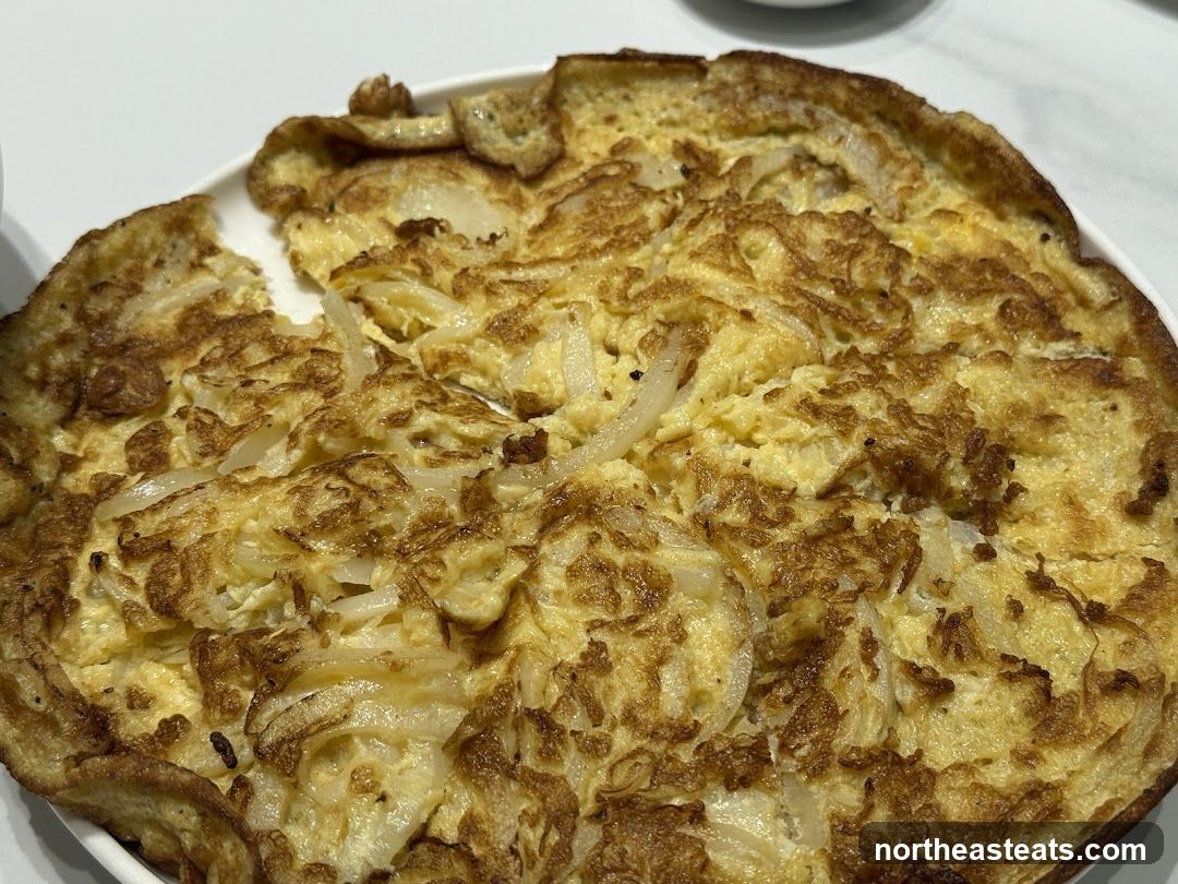 Onion Omelet