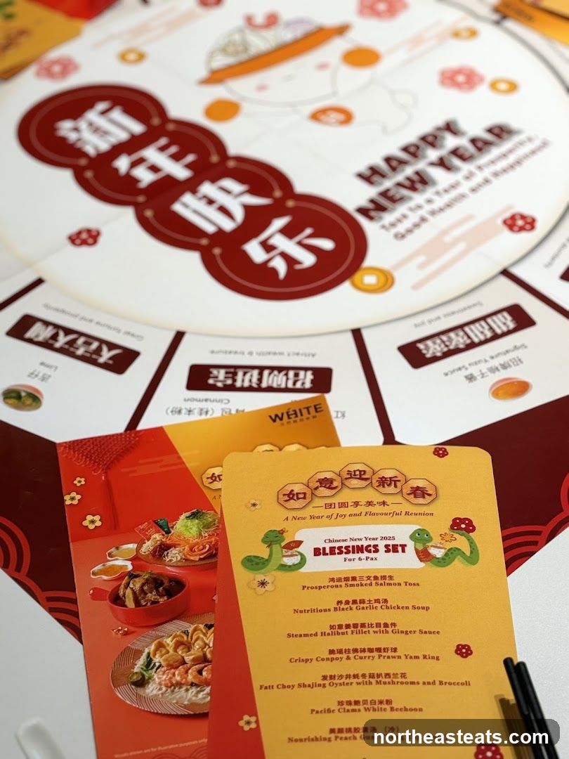 Chinese New Year 2025 Blessings Set