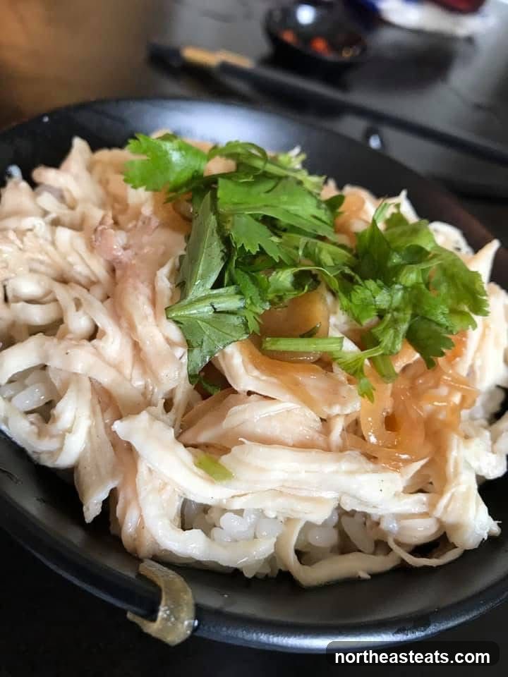 Shredded Chicken Rice Bowl