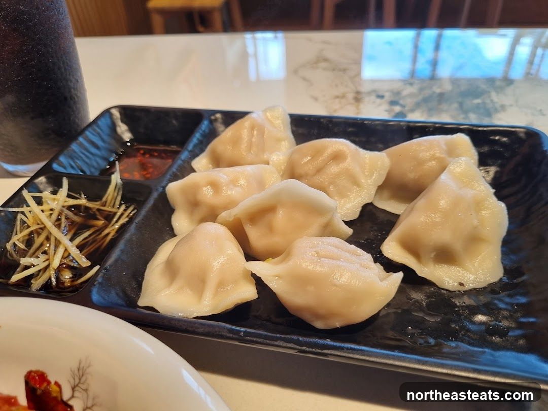 Dumplings with Dipping Sauce