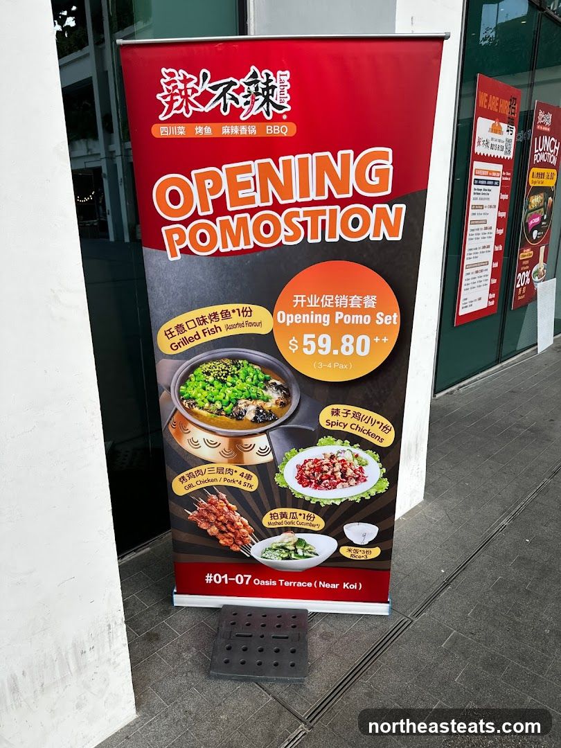 Opening Promotion Banner