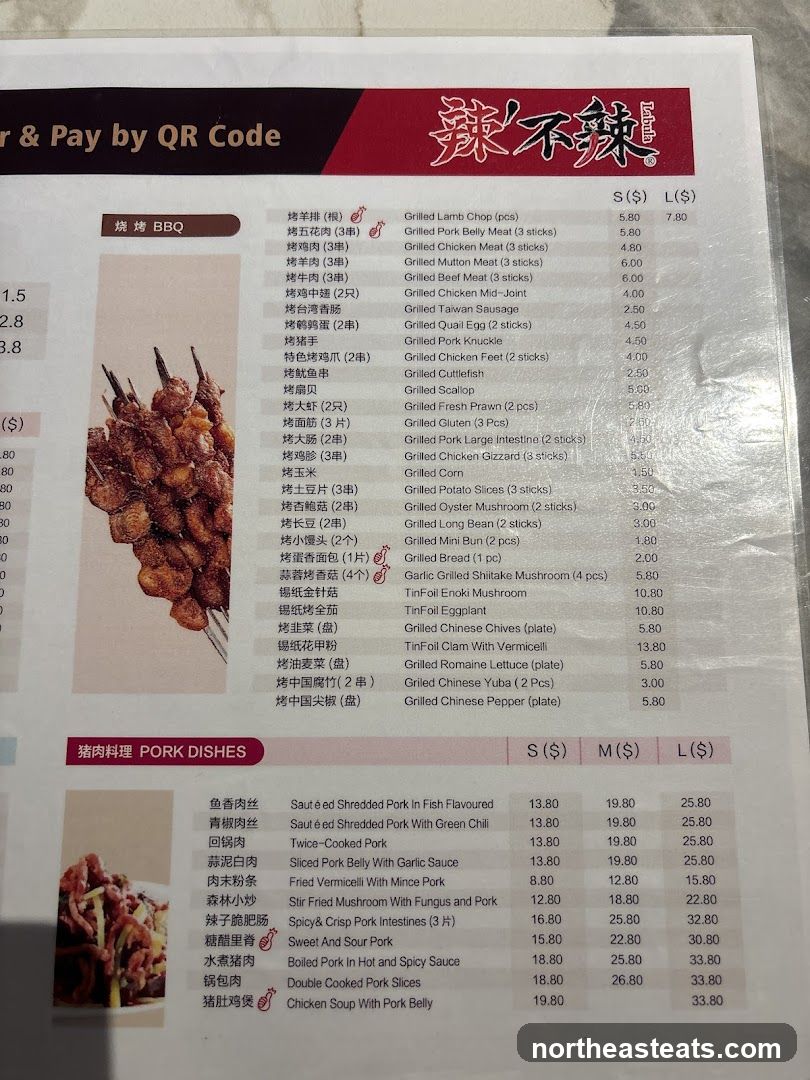 辣不辣辣 BBQ & PORK DISHES