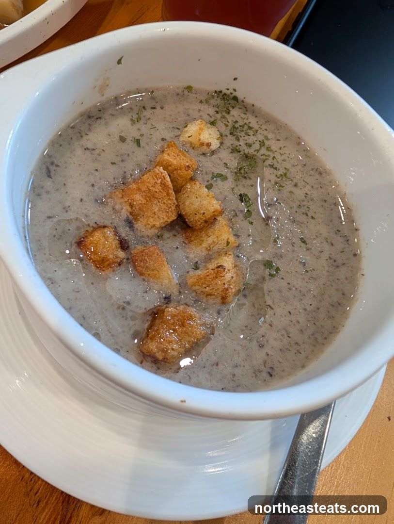 Mushroom Soup with Croutons