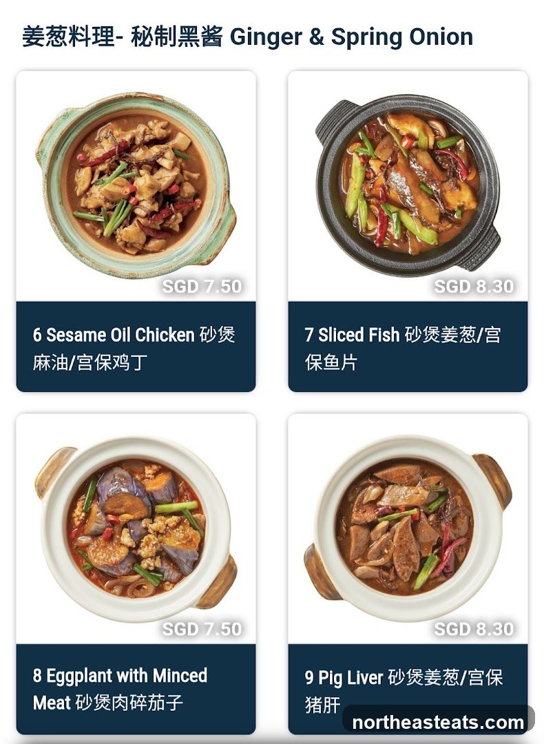 Ginger & Spring Onion Dishes