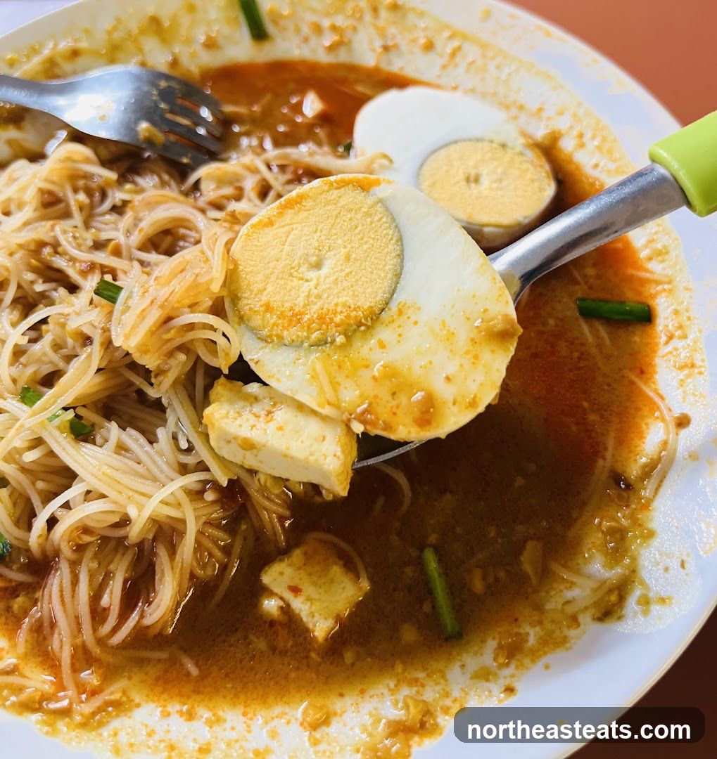 Noodle Soup with Egg and Tofu