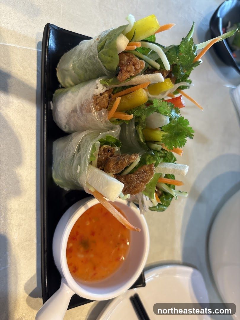 Fresh Spring Rolls with Dipping Sauce