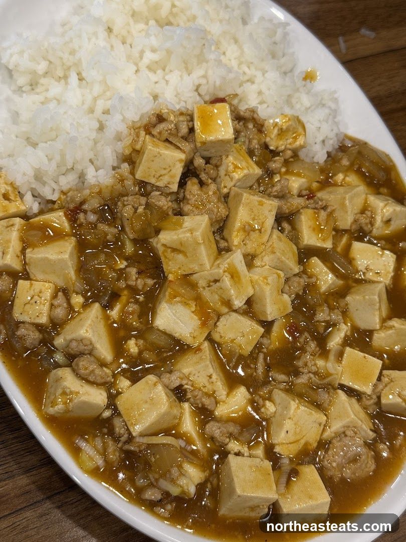 Mapo Tofu with Rice