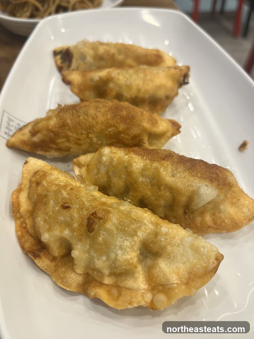 Fried Dumplings