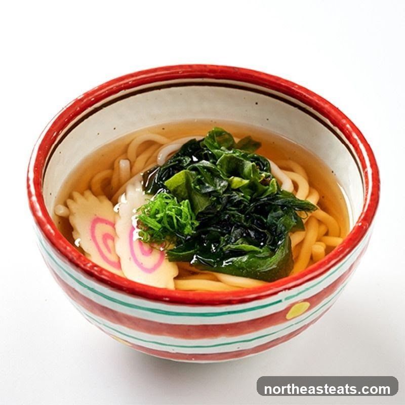 Udon Noodle Soup