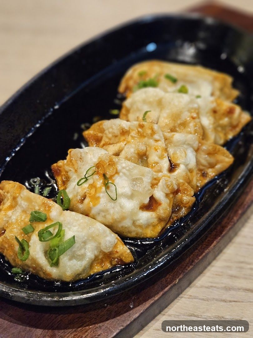 Pan-fried dumplings