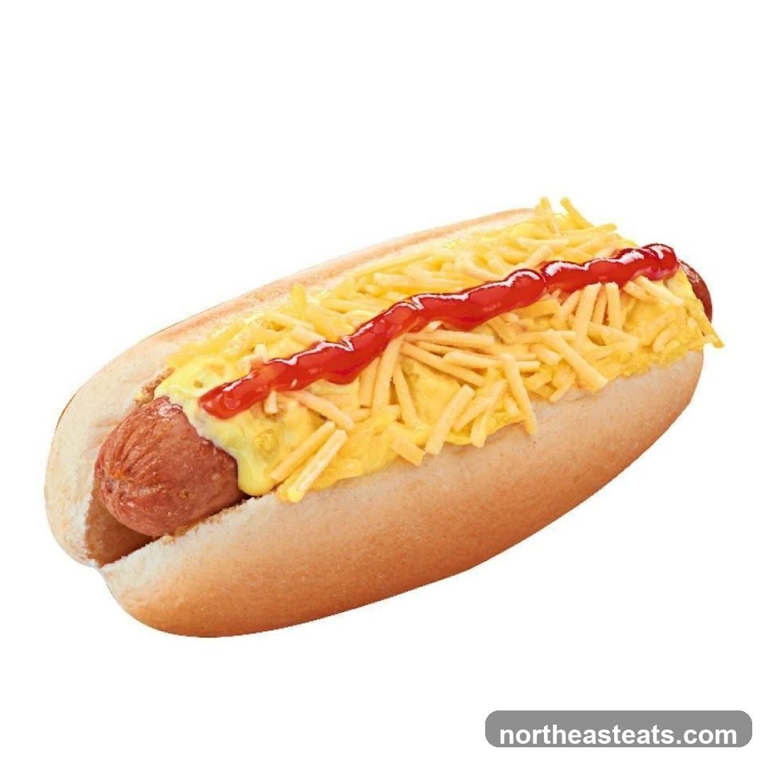 Hot Dog with Toppings