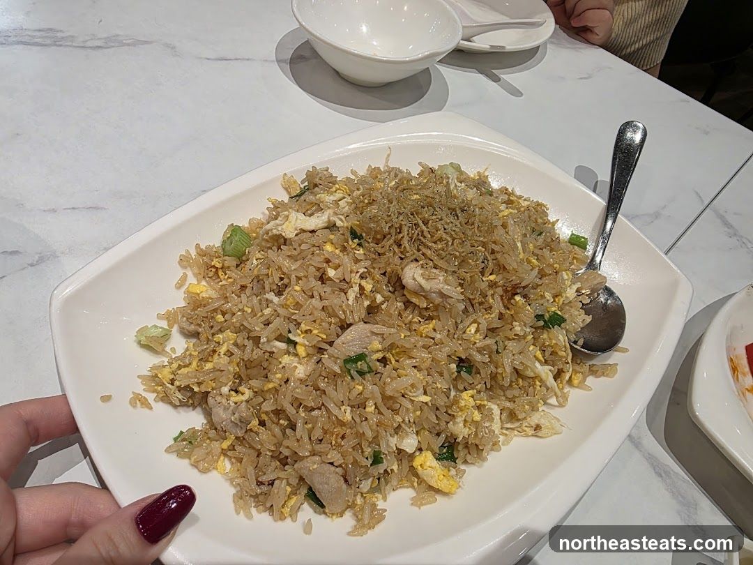 Fried Rice with Chicken and Egg