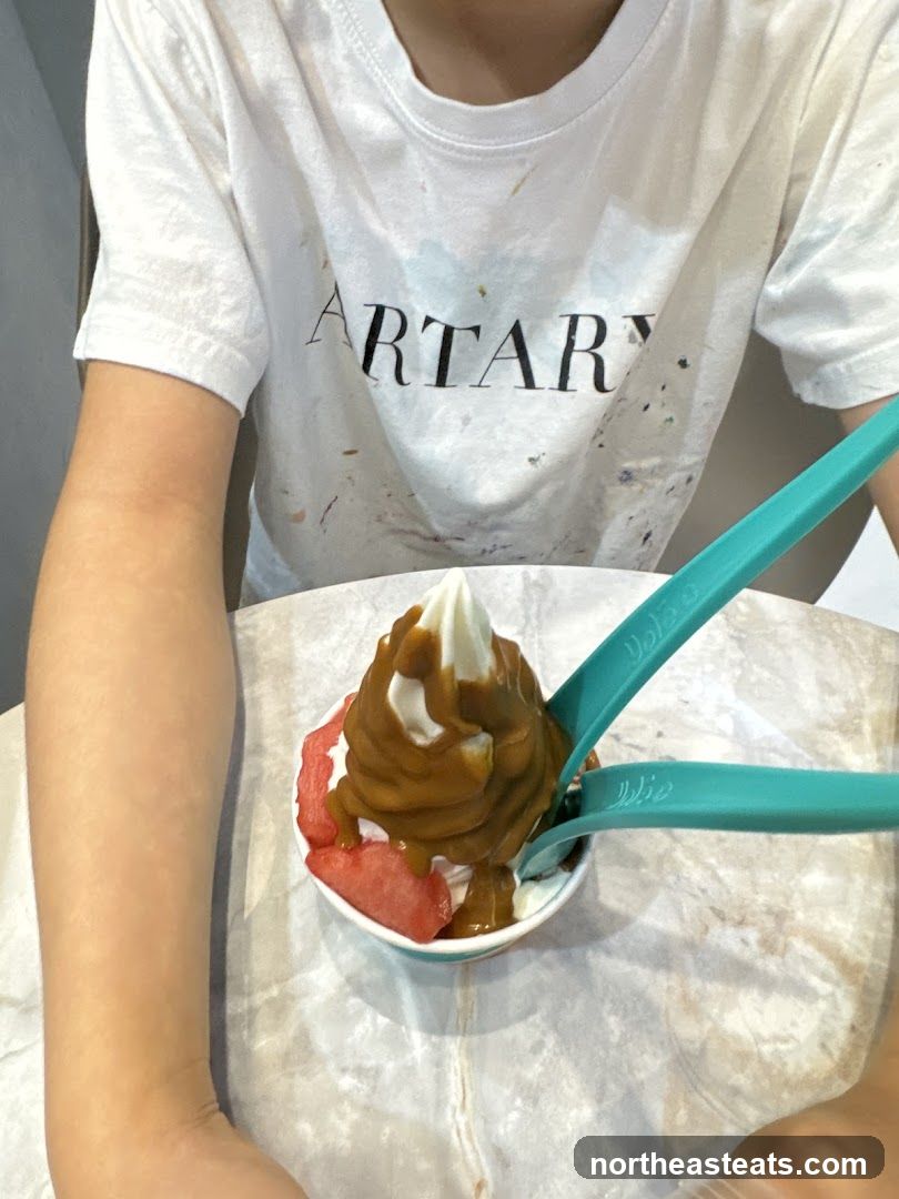Frozen Yogurt with Toppings