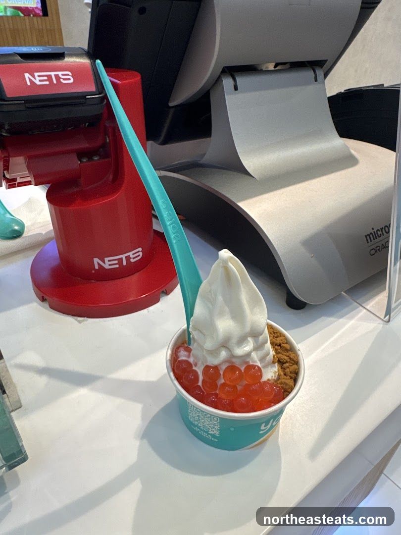 Soft Serve Ice Cream with Toppings