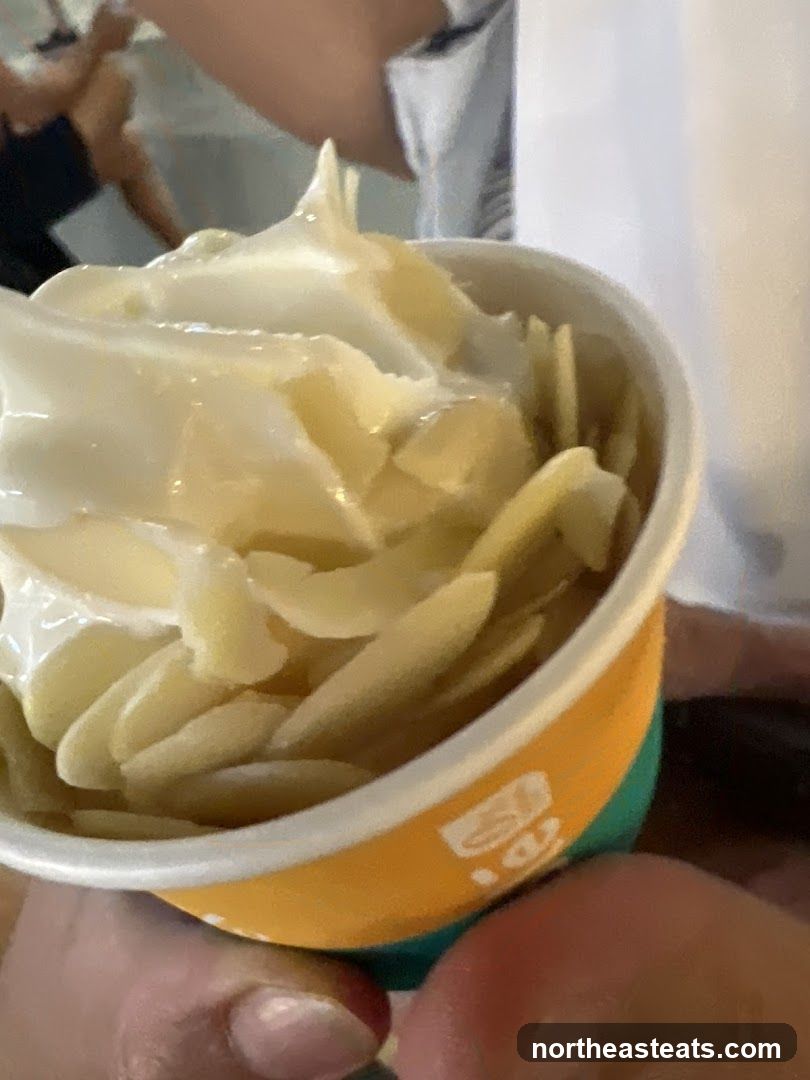 Soft Serve Ice Cream with Almond Slivers