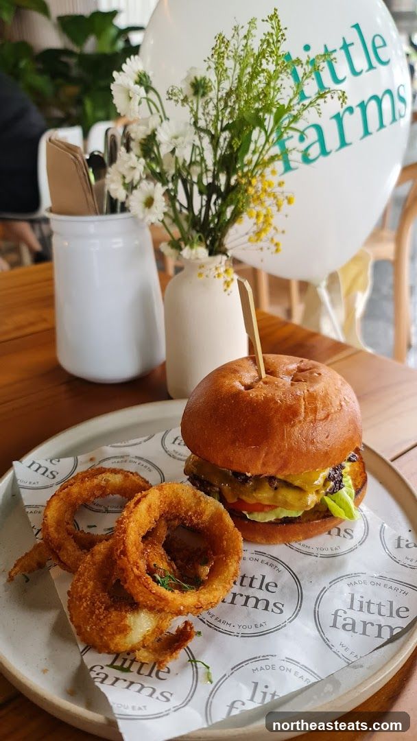 Burger and Onion Rings