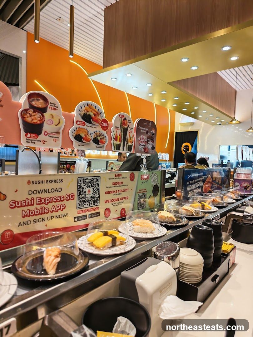 Sushi Conveyor Belt