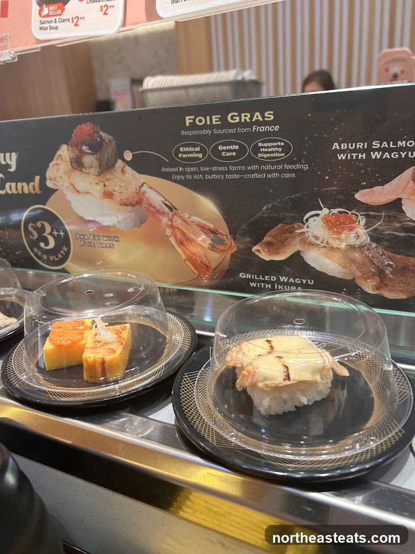 Conveyor Belt Sushi Display