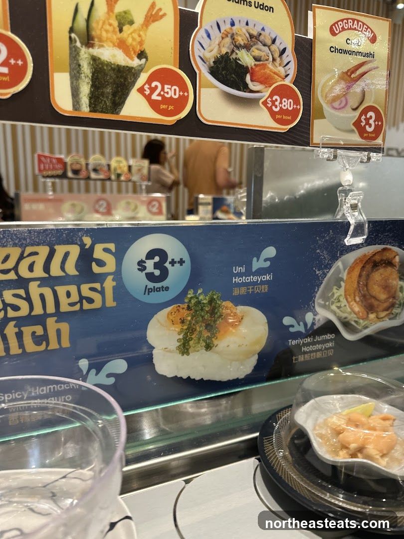 Sushi Conveyor Belt Display