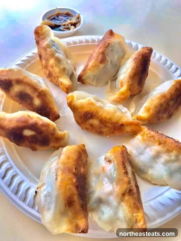 Fried Dumplings with Dipping Sauce
