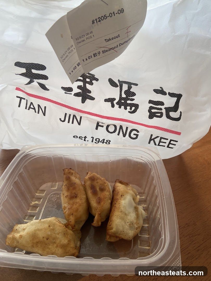 Takeout Bag and Dumplings