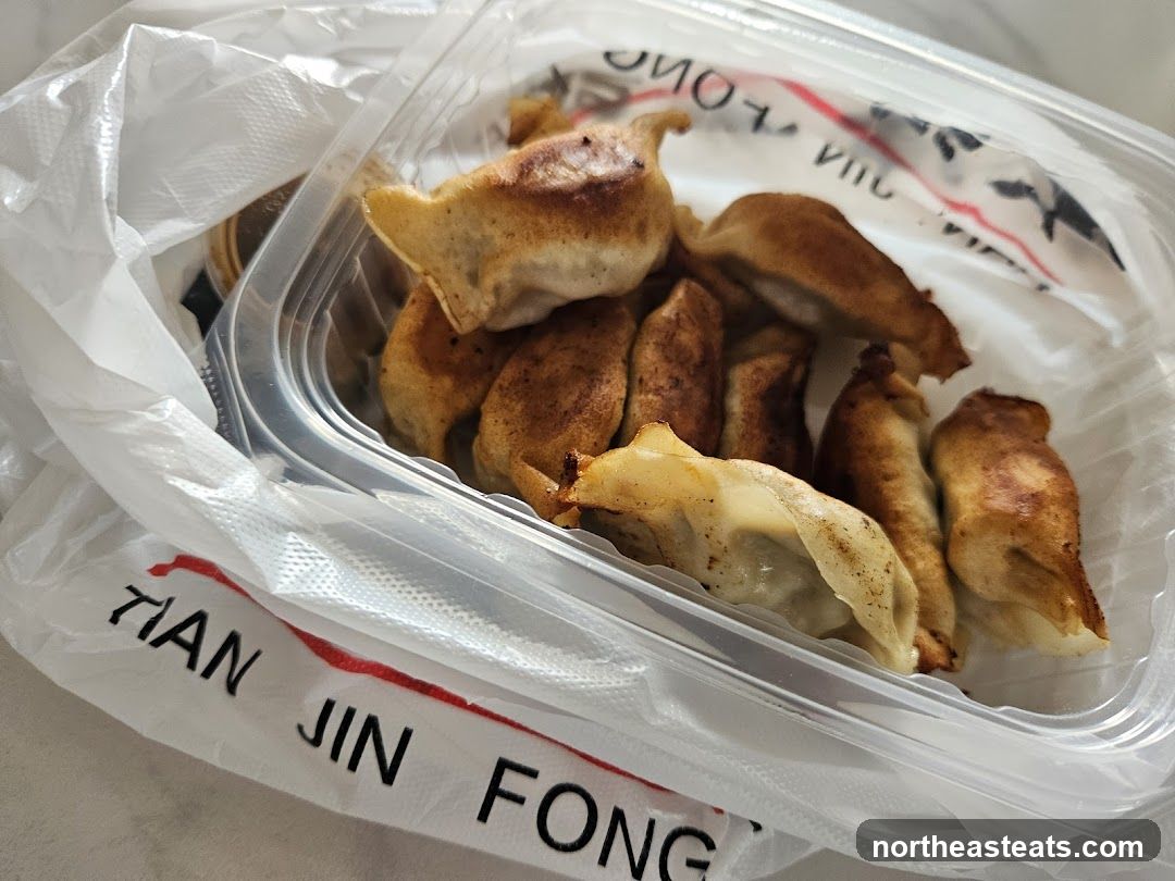 Fried Dumplings
