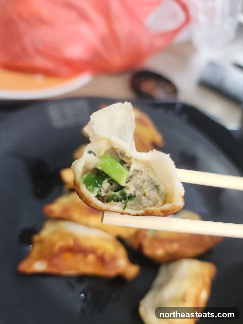 Fried Dumplings