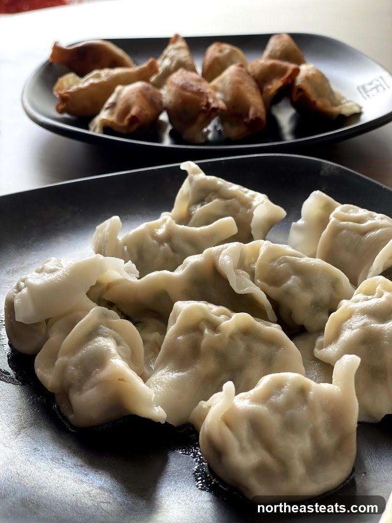 Dumplings on Plates