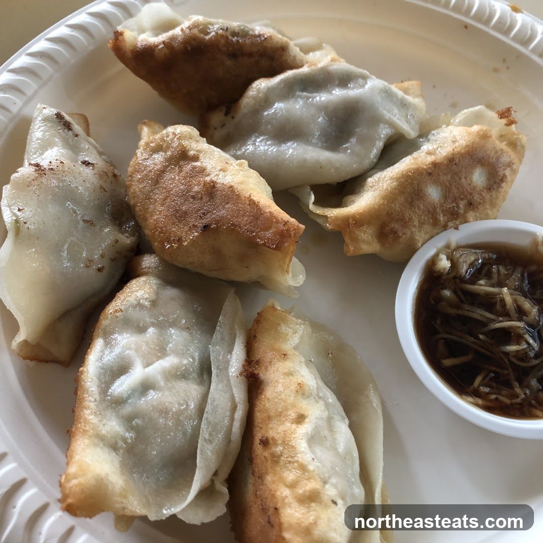 Pan-fried dumplings with dipping sauce