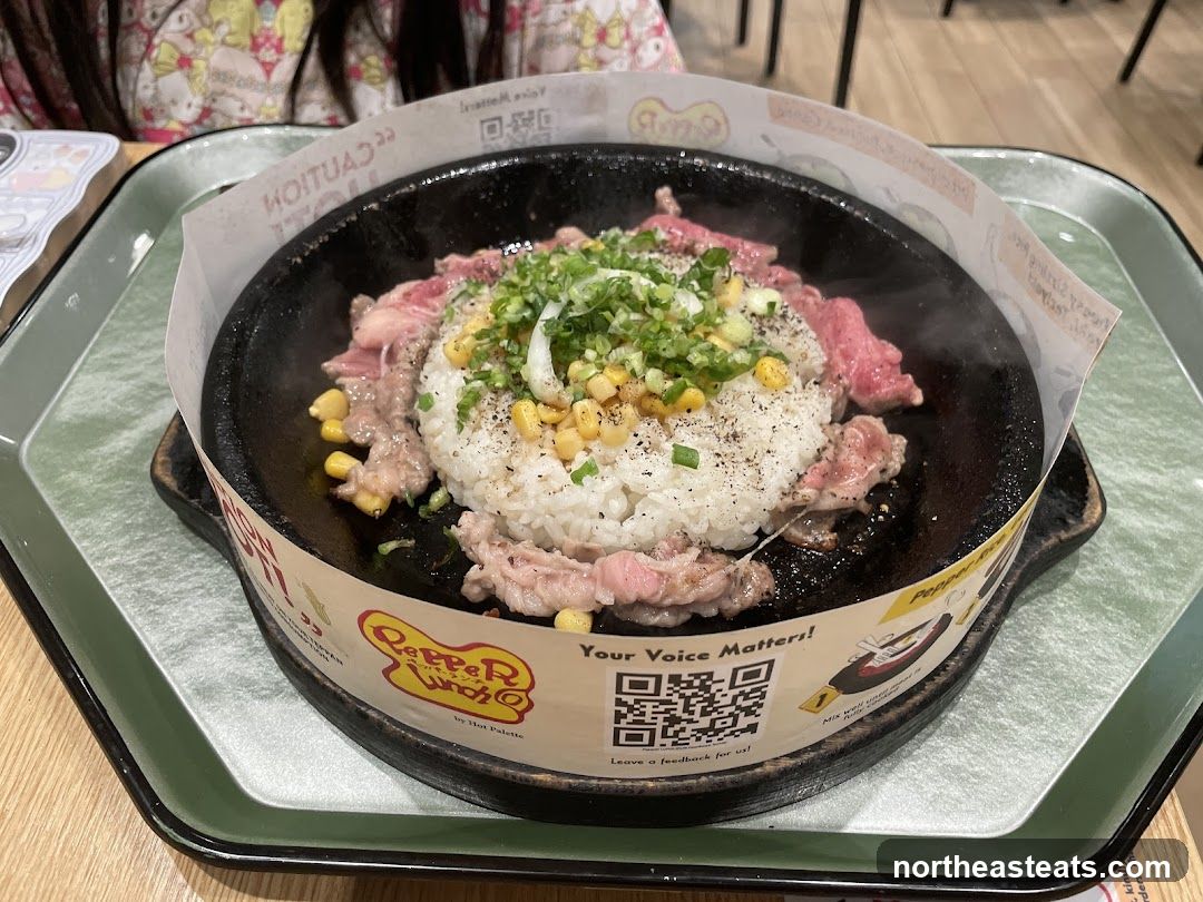 Sizzling Beef and Rice